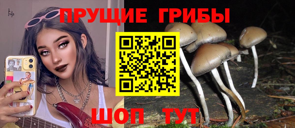 Рязань  купить наркотик  Вход с VPN  Псилоцибиновые грибы Psilocybe 
